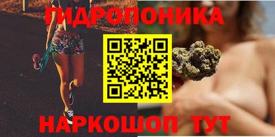 трава Гудермес