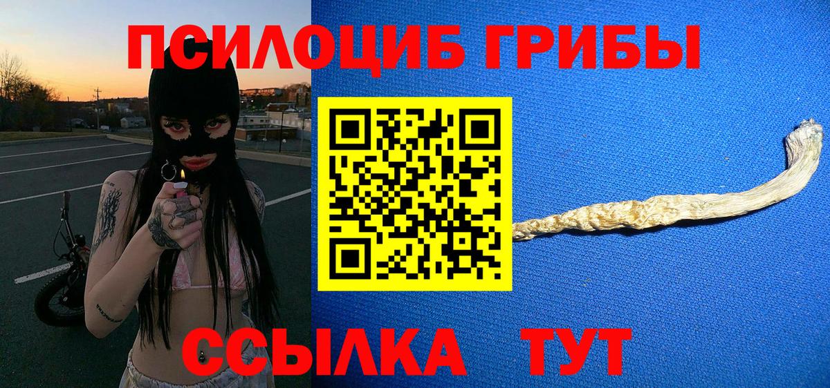 Галлюциногенные грибы Psilocybine cubensis Ирбит